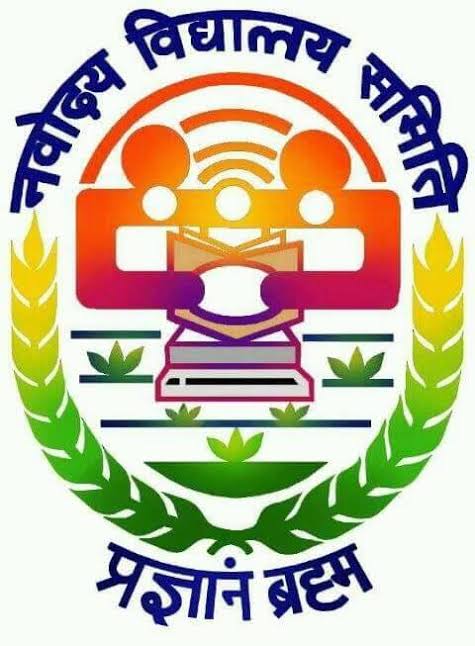 NVS Logo